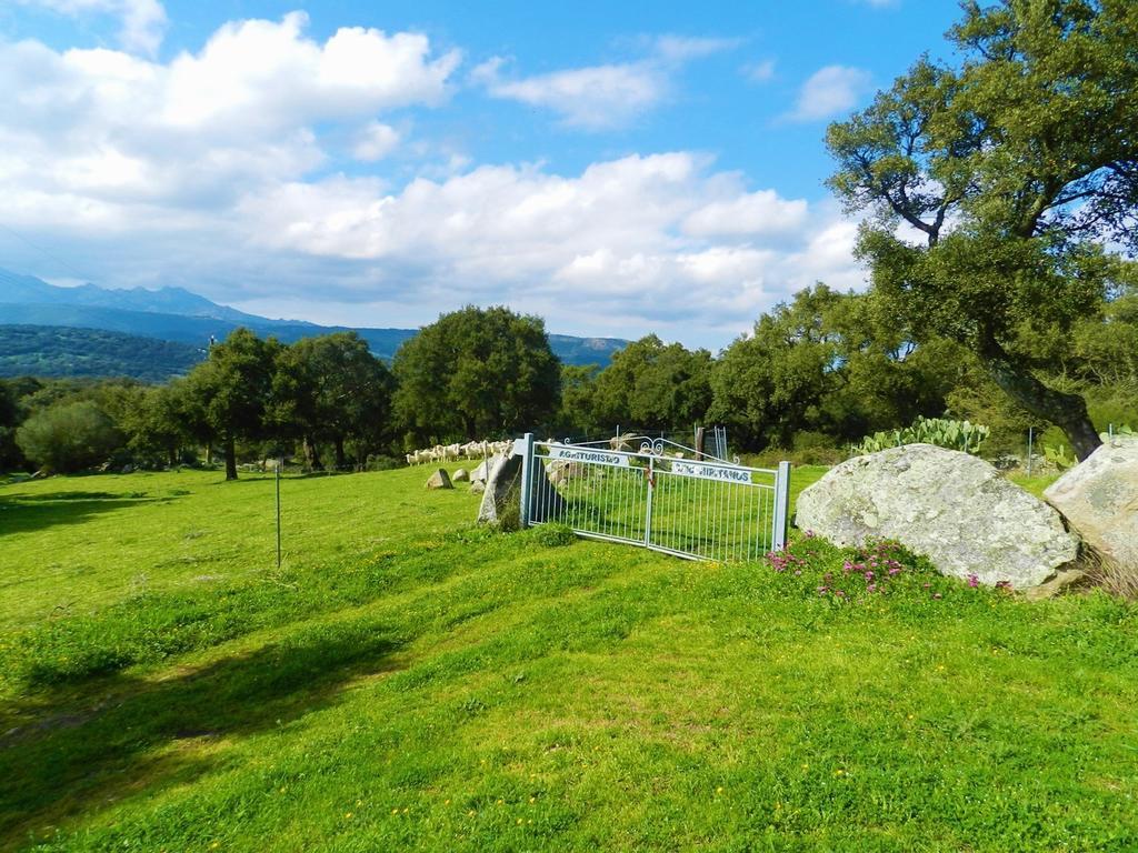 Chicchiritanos Bed and Breakfast Monti Εξωτερικό φωτογραφία